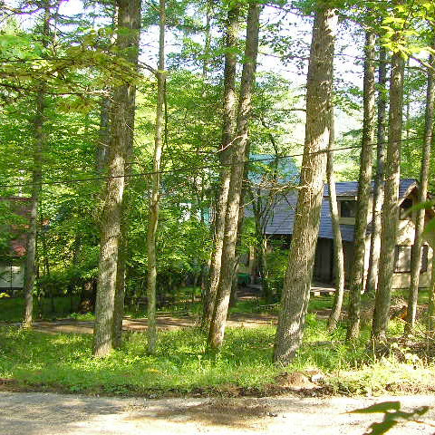 売り地のイメージ画像